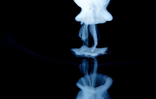 fotografare una medusa, photograph a jellyfish, inspiration and creativity