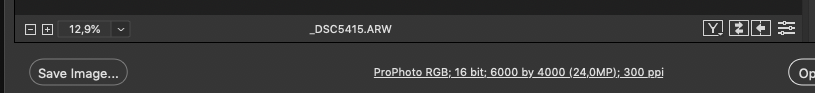 Spazio Colore ProPhoto RGB, sRGB, Adobe RGB