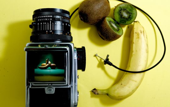 Le 10 Regole per Diventare Fotografo Professionista